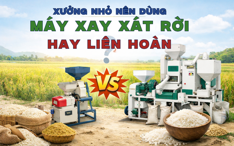 Xưởng Nhỏ Nên Dùng Máy Xay Xát Rời Hay Liên Hoàn?