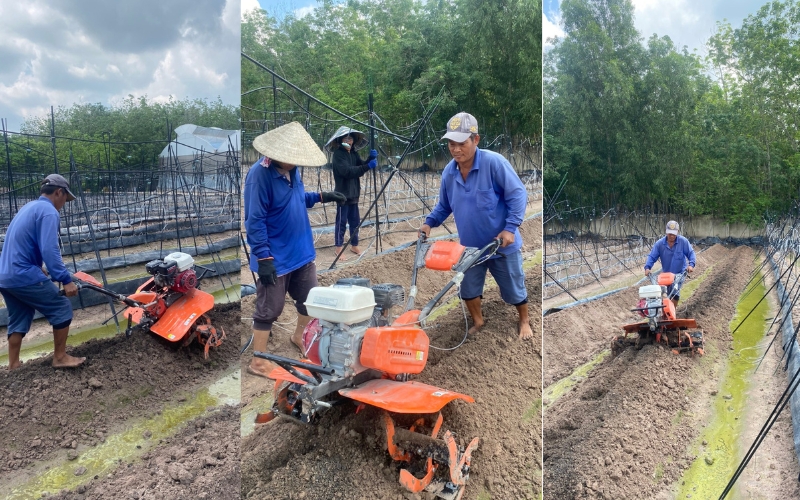 Test máy xới đất GX200 tại vườn nhà khách