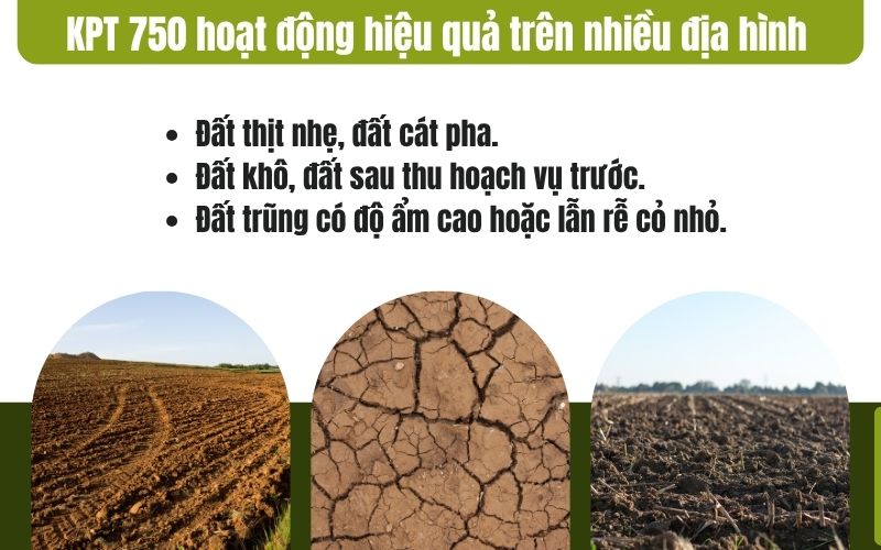 KPT 750 hoạt động hiệu quả trên nhiều địa hình như