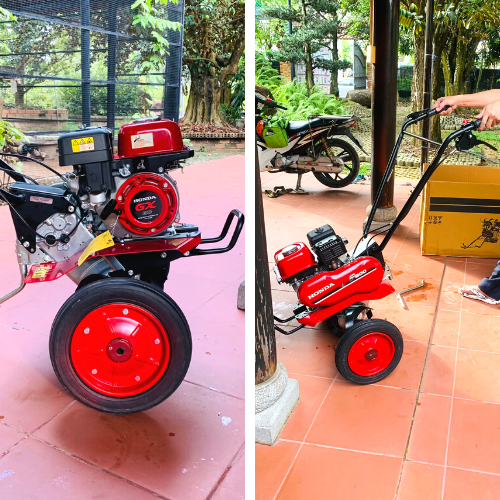 hình ảnh thực tế