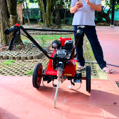 hình ảnh thực tế