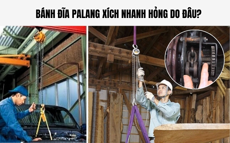 Bánh đĩa palang xích nhanh hỏng do đâu
