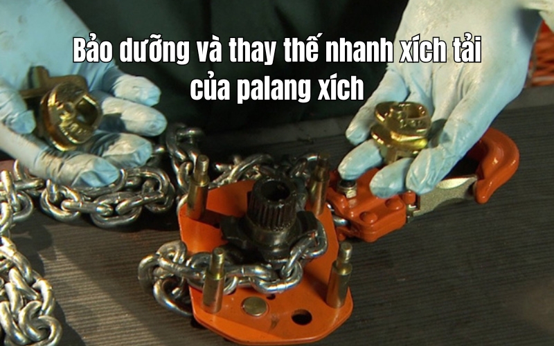 Bảo dưỡng và thay thế nhanh xích tải của palang xích