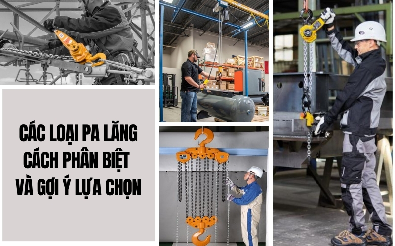Các loại pa lăng, cách phân biệt và gợi ý lựa chọn