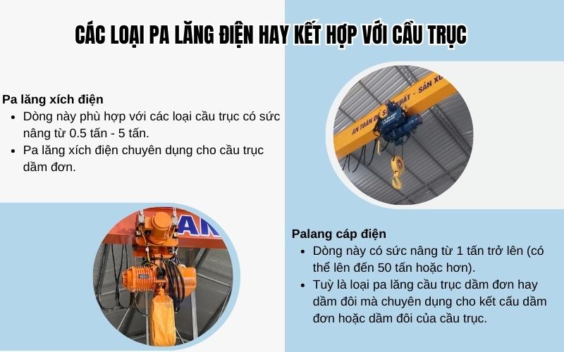 Các loại pa lăng điện hay kết hợp với cầu trục