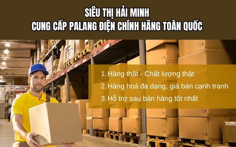 Đơn vị cung cấp palang điện chính hãng