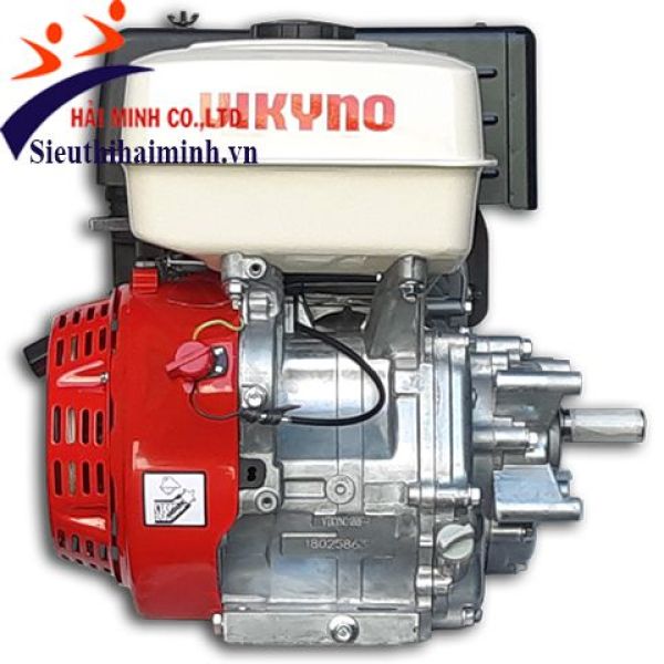 Photo - Động cơ xăng Vikyno 188F-L (cốt xéo 13HP)