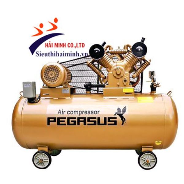 Photo - Máy nén khí dây đai PEGASUS TM-W-1.6 / 12.5 - 500L