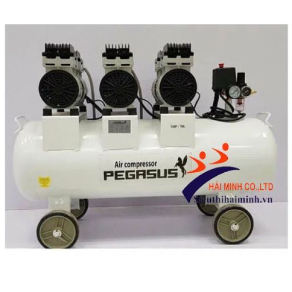 Photo - Máy nén khí không dầu giảm âm Pegasus TM-OF1100x3-180L