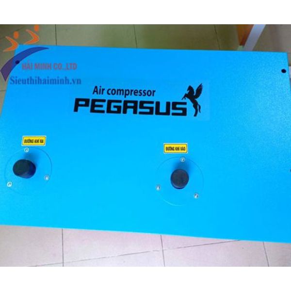 Photo - Máy sấy khí PEGASUS TMMSK-15