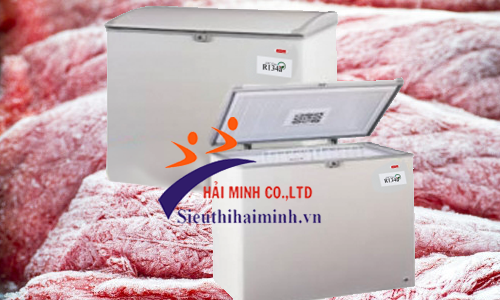 Tủ đông ACSON ACF 25GT dung tích 250 Lít