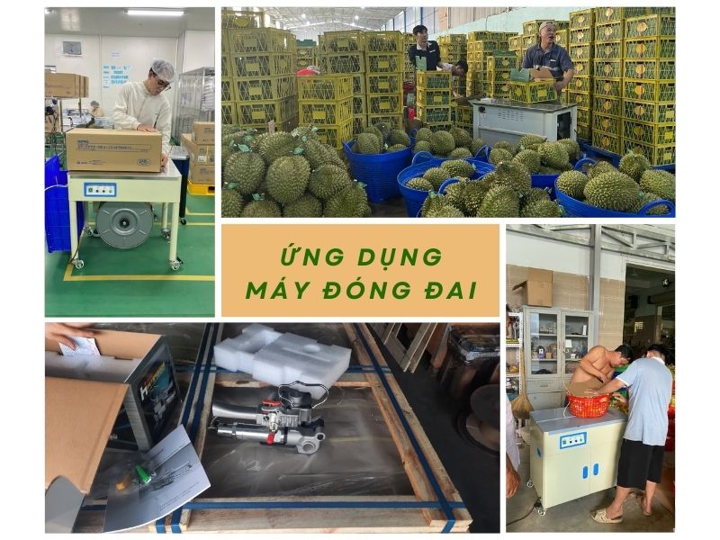 Ứng dụng đa dạng của máy đóng đai trong sản xuất và đời sống