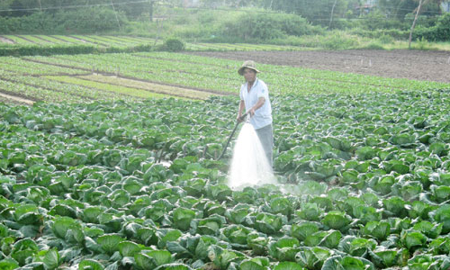 Máy bơm nước Diesel Lutian 50KB-2 cho hiệu suất làm việc cao