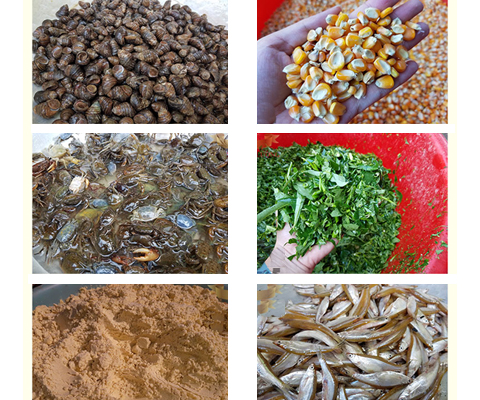 Máy ép cám viên trục đứng AS400 ép nhanh các loại nguyên liệu