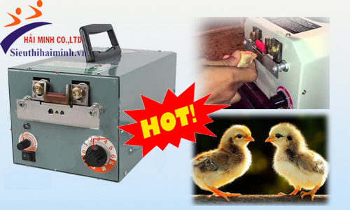 Máy cắt mỏ gà DQ - 4 