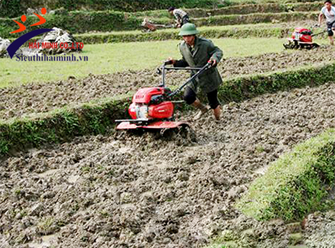 Máy xới đất OSHIMA XDX1-T