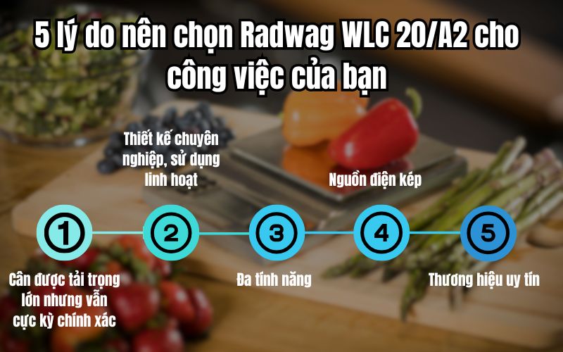 5 lý do nên chọn Radwag WLC 20/A2 cho công việc của bạn