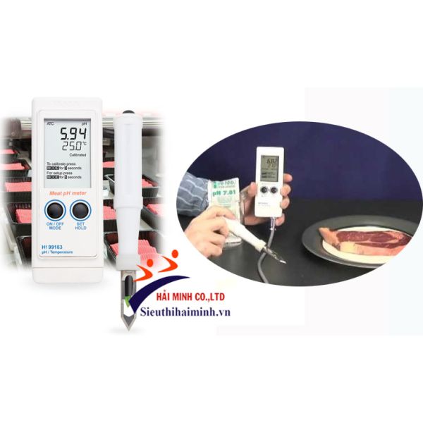 Photo - Máy đo pH và nhiệt độ thịt Hanna HI99163