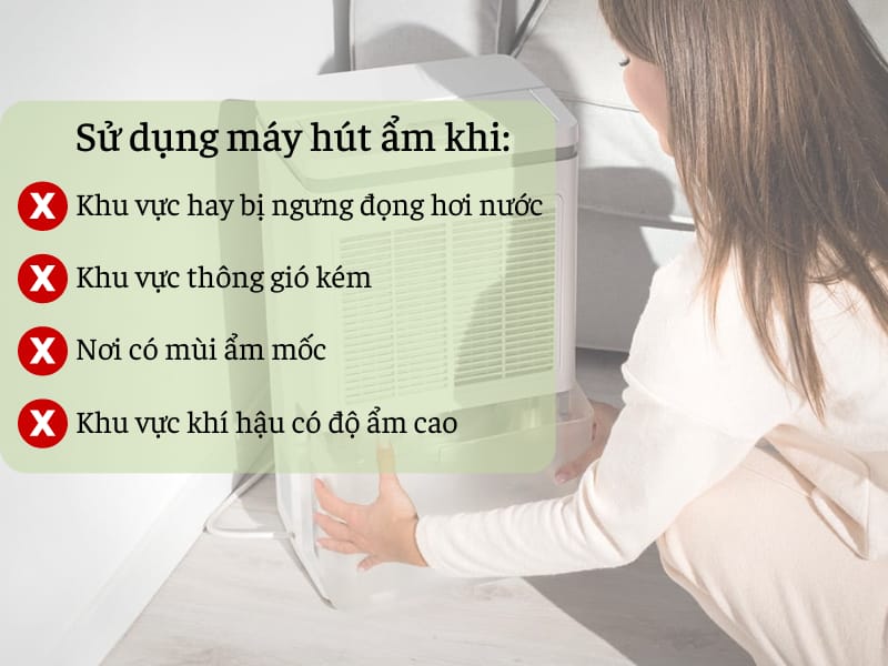 sử dụng máy hút độ ẩm khi nào