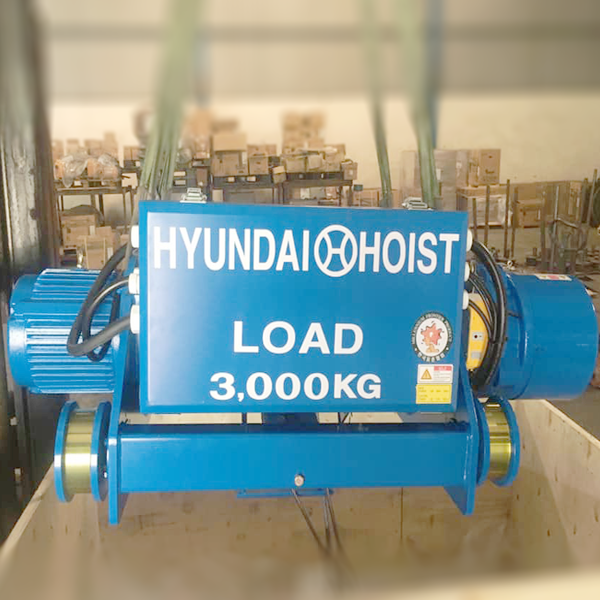 Photo - Pa lăng cáp điện Hyundai H3D 3 tấn dầm đôi