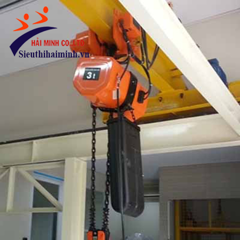 Pa lăng xích điện DSTM-1S 1 tấn con chạy