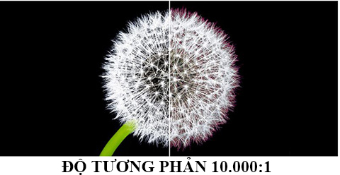 Máy chiếu Epson chính hãng