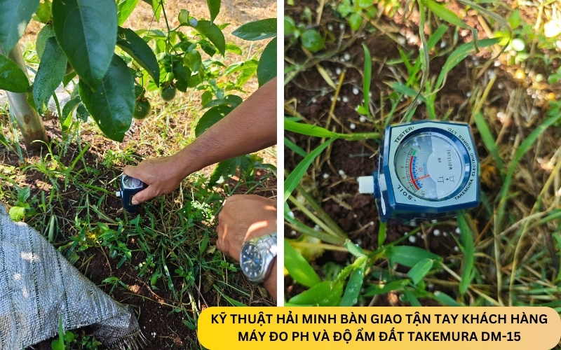 Máy đo pH và độ ẩm đất Takemura DM-15