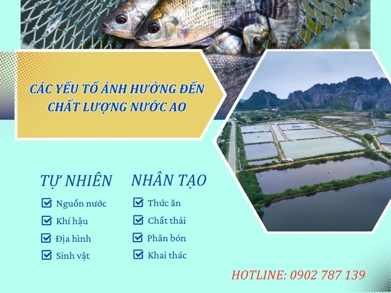 Đánh giá và xử lý nước trong ao nuôi thủy sản