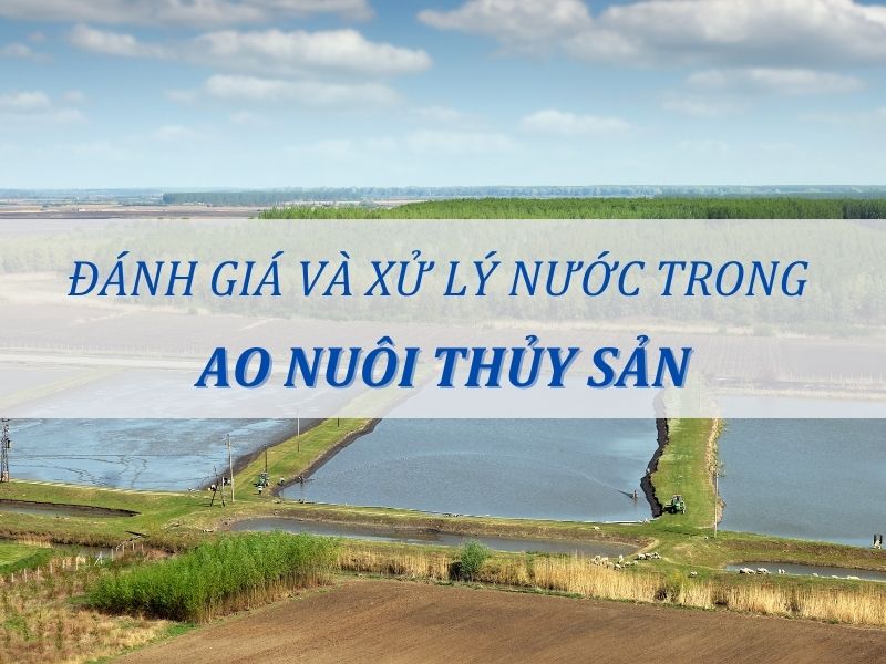 Đánh giá và xử lý nước trong ao nuôi thủy sản
