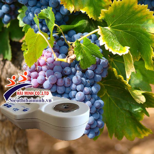 Khúc xạ kế đo độ ngọt Hanna HI96812 Khúc xạ kế đo độ ngọt Hanna HI96812