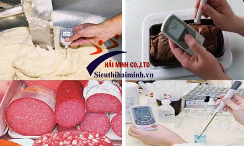 Máy đo nhiệt độ cầm tay EBRO TFX 410-1+ TPX400