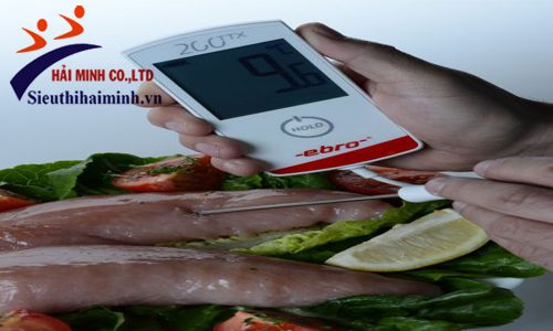 Máy đo nhiệt độ cầm tay EBRO TTX 200