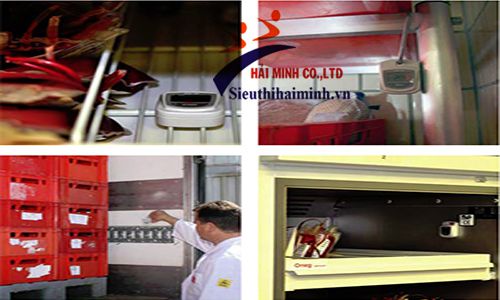 Thiết bị ghi hình nhiệt độ EBRO EBI 20-T1