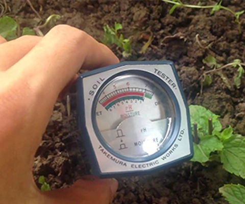 máy đo pH DM-15 tích hợp chức năng đo pH và cả độ ẩm đất