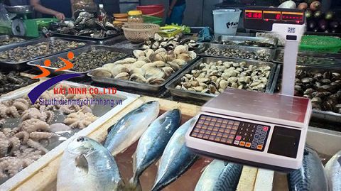 cân tính tiền cho cửa hàng thủy hải sản