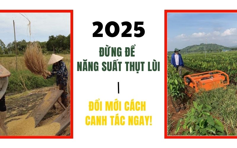 2025 đừng để năng suất thụt lùi - Đổi mới cách canh tác ngay!