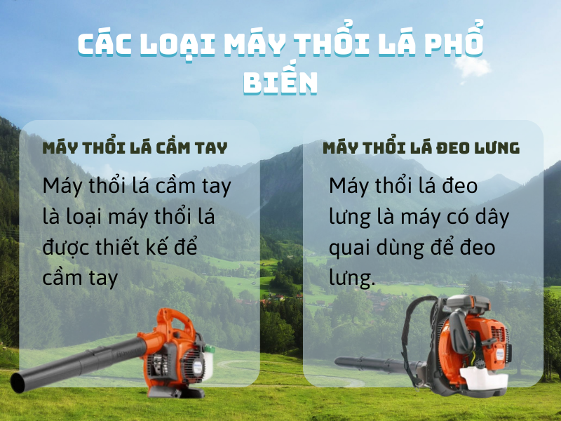 Các loại máy thổi lá phổ biến trên thị trường và ưu điểm của từng loại