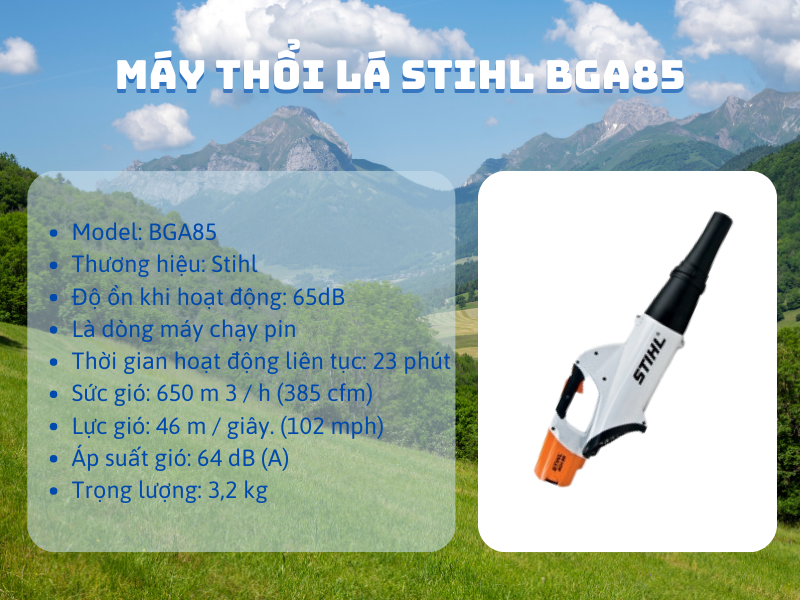 Các loại máy thổi lá phổ biến trên thị trường và ưu điểm của từng loại