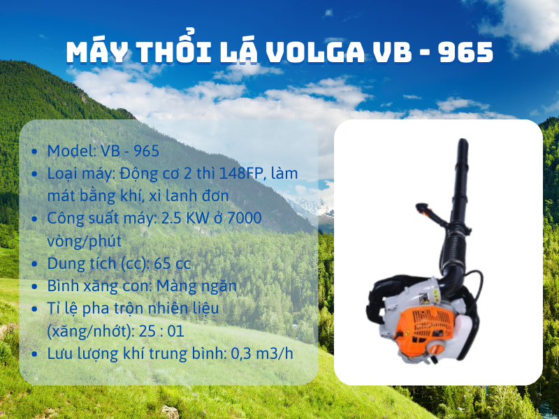 Các loại máy thổi lá phổ biến trên thị trường và ưu điểm của từng loại