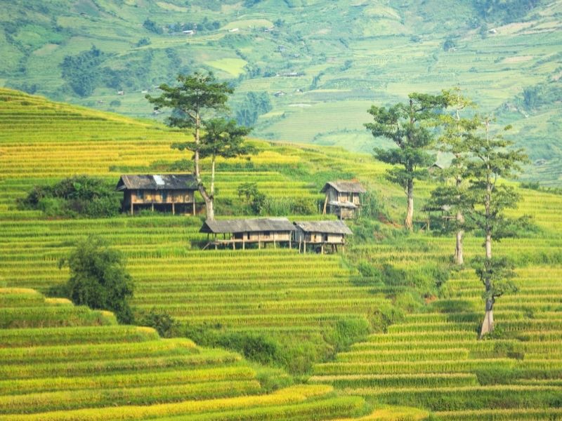 Du lịch Tết 2023 ở đâu?