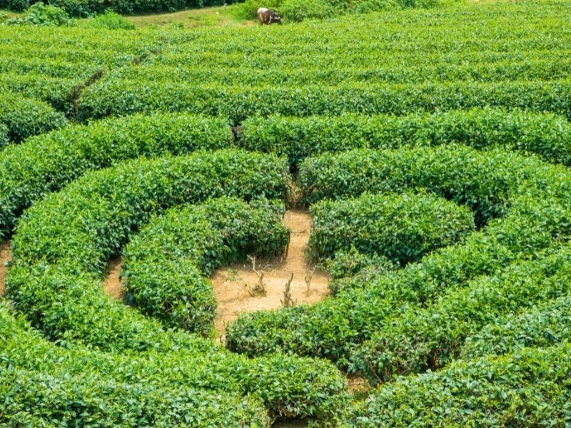 Du lịch Tết 2023 ở đâu