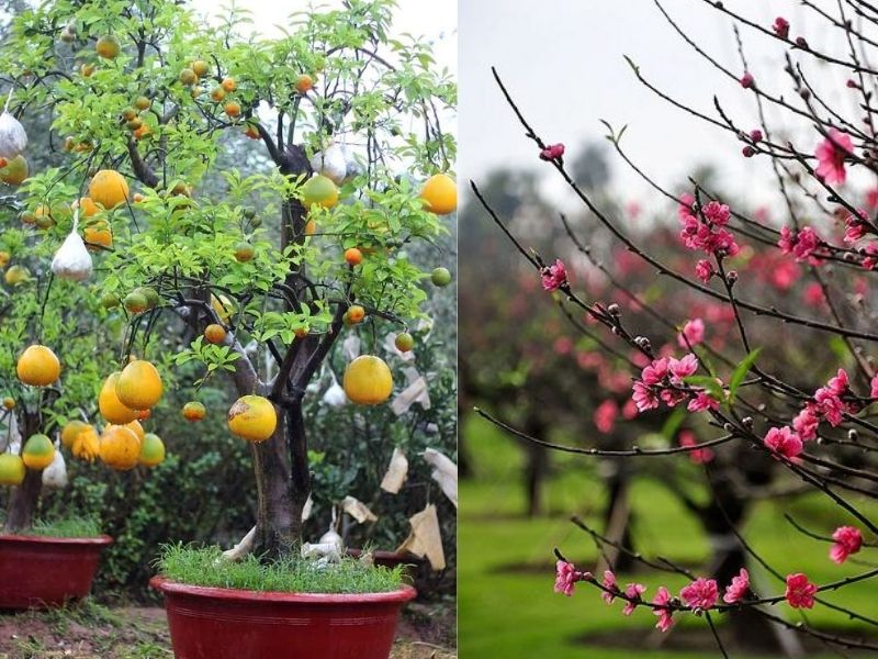 Kinh doanh dịp Tết 2023