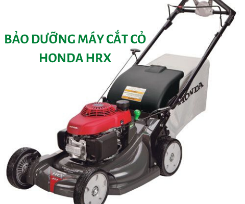 bảo dưỡng máy cắt cỏ honda HRX