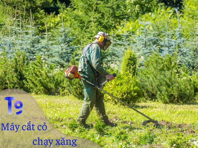 Tháng 9 nên mua máy cắt cỏ chạy xăng nào?