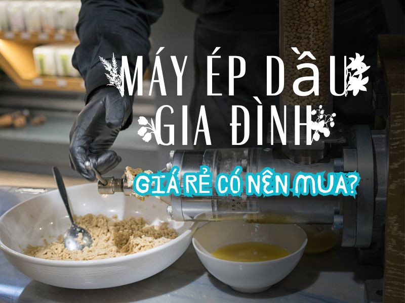 Máy ép dầu gia đình giá rẻ có nên mua?