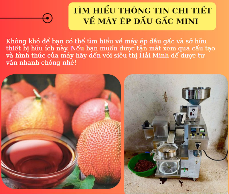 Máy ép dầu gấc được hàng trăm gia đình sử dụng