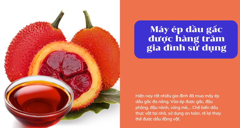 Máy ép dầu gấc được hàng trăm gia đình sử dụng