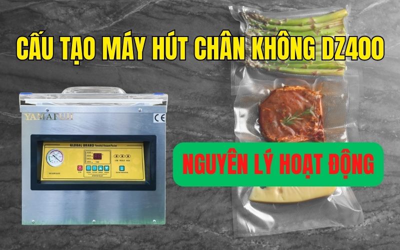Cấu tạo máy hút chân không DZ400 và nguyên lý hoạt động