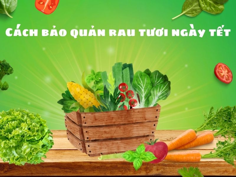 Mẹo bảo quản rau xanh tươi ngon suốt mùa Tết