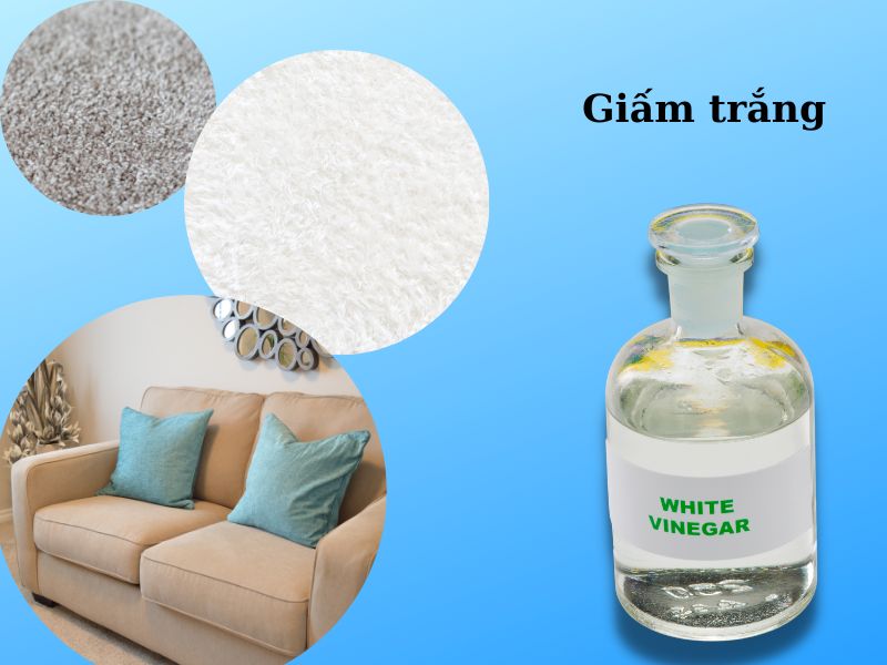 Mẹo làm sạch sofa - thảm cho gia đình kịp đón tết